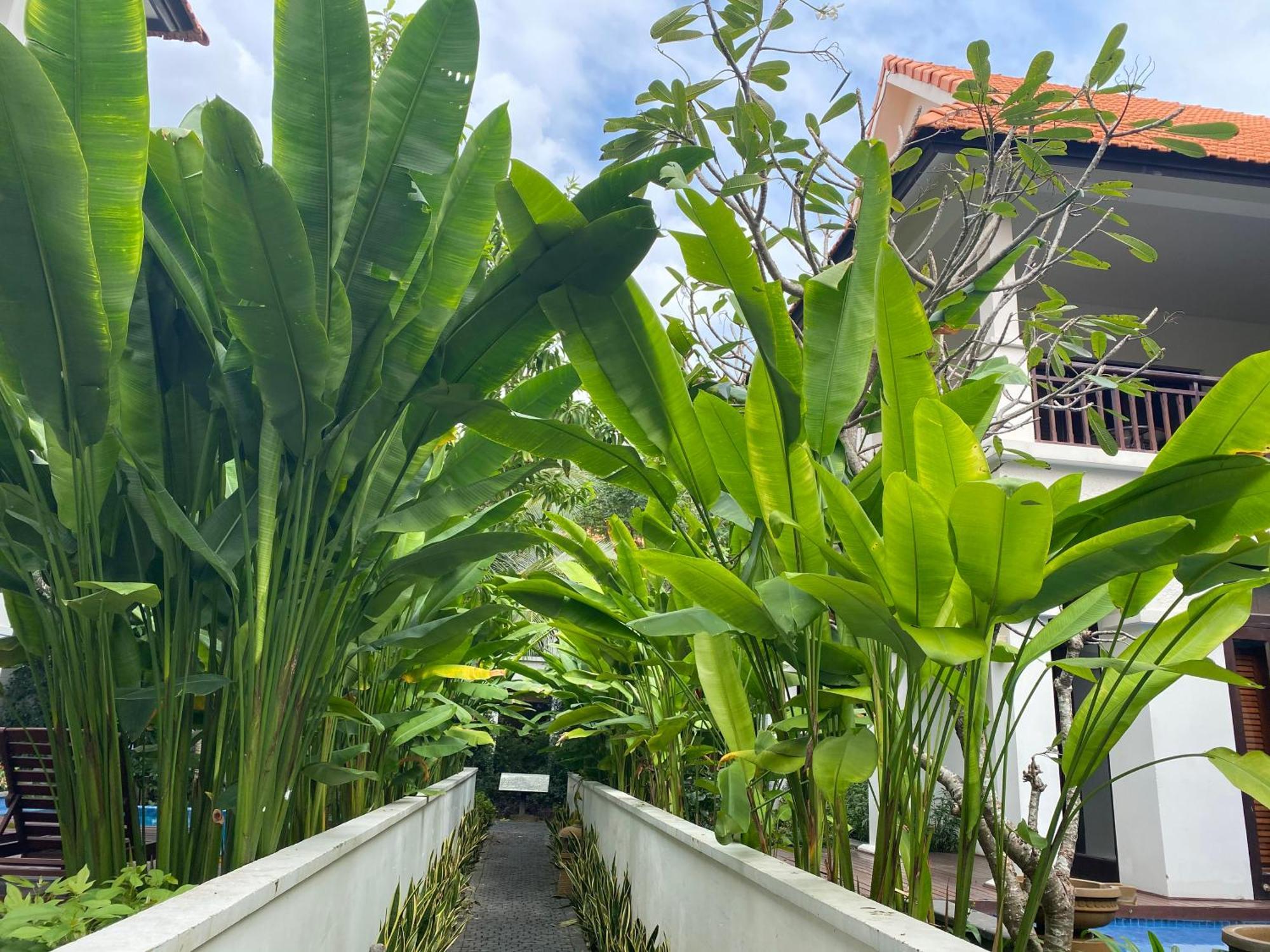 Tropical Pool Villas Da Nang Dış mekan fotoğraf